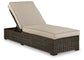 Coastline Bay Chaise Lounge with Cushion